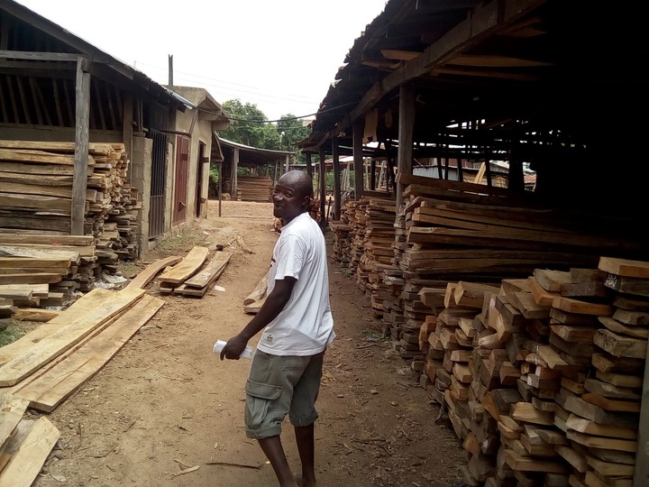 Pomatek Consults Sawmill
